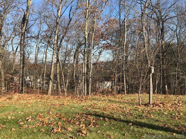 4 Robinson Circle - Photo 1