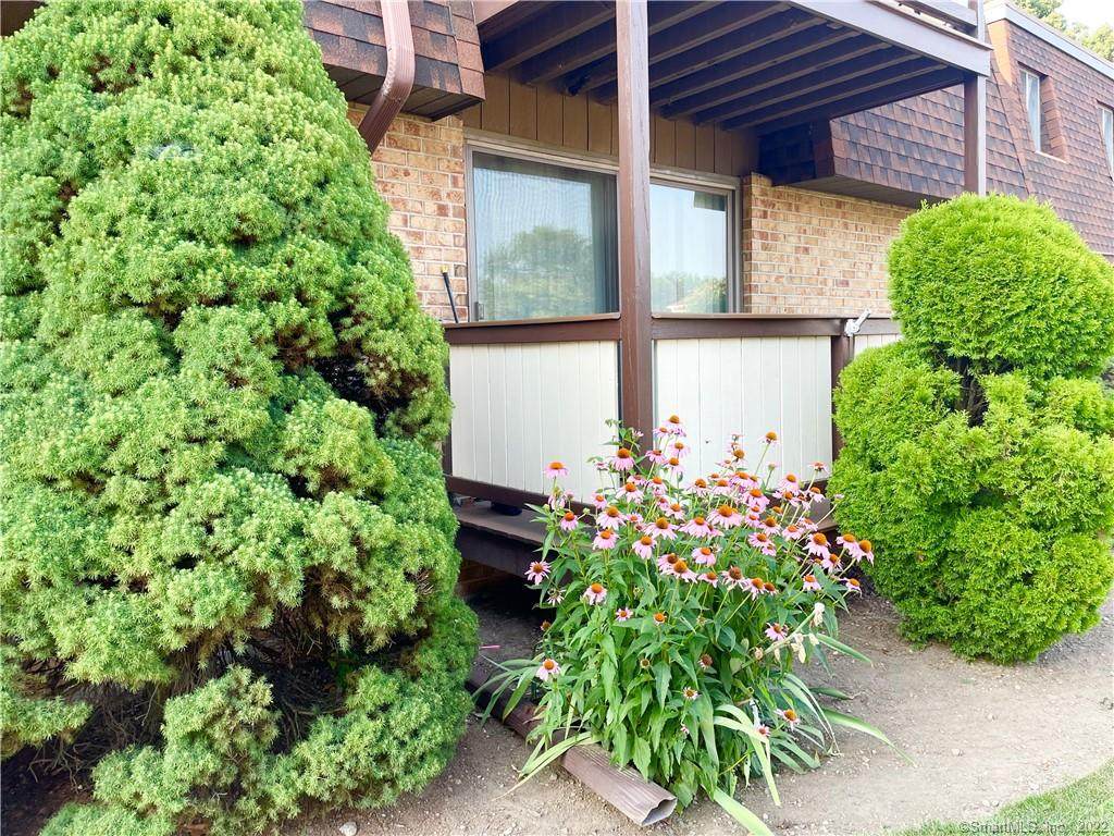 20 Maple Tree Avenue - Photo 1