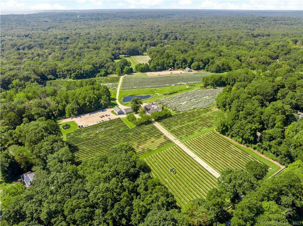 115 Cow Hill Road - Photo 1