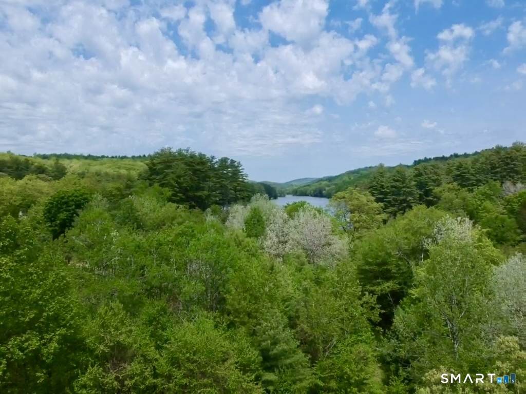  Brass Mill Dam Road - Photo 1