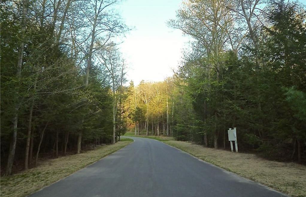 Lot 3 Mountain Springs - Photo 1