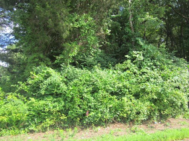 108A Long Hill Road - Photo 1