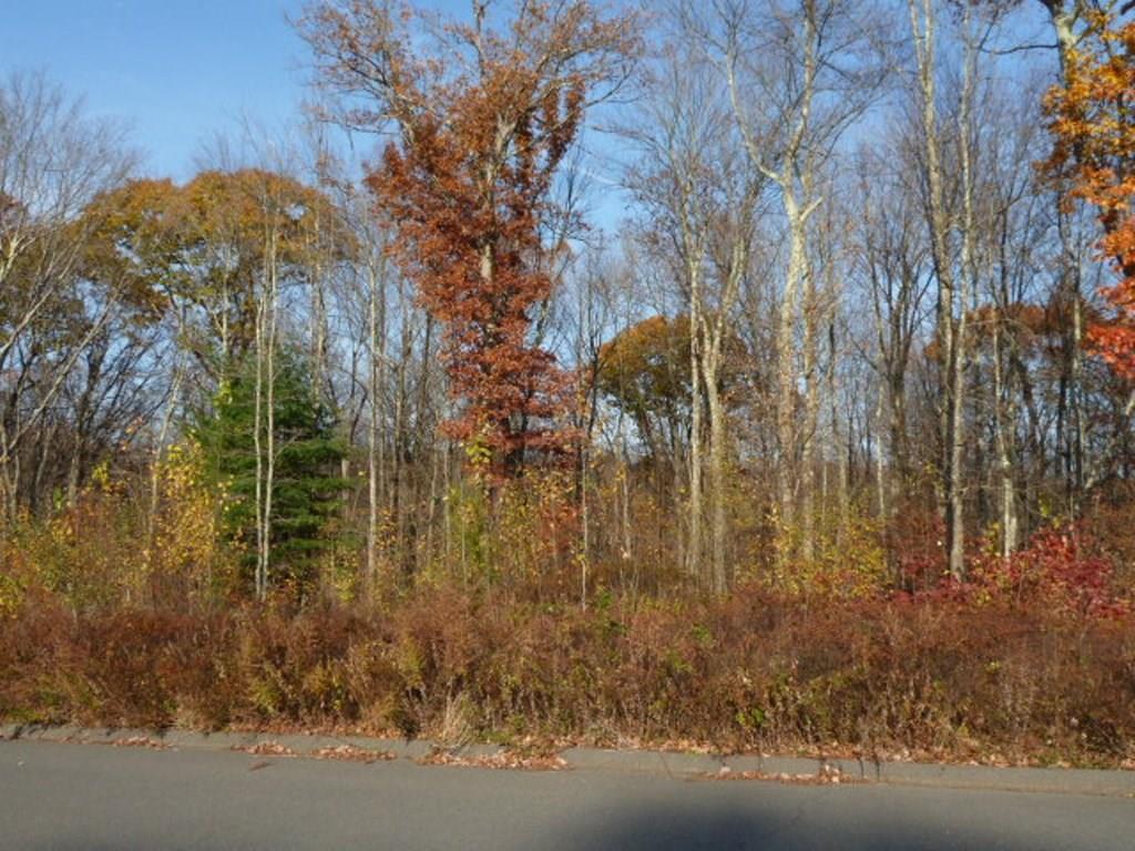 LOT 10 Cambridge Drive - Photo 1