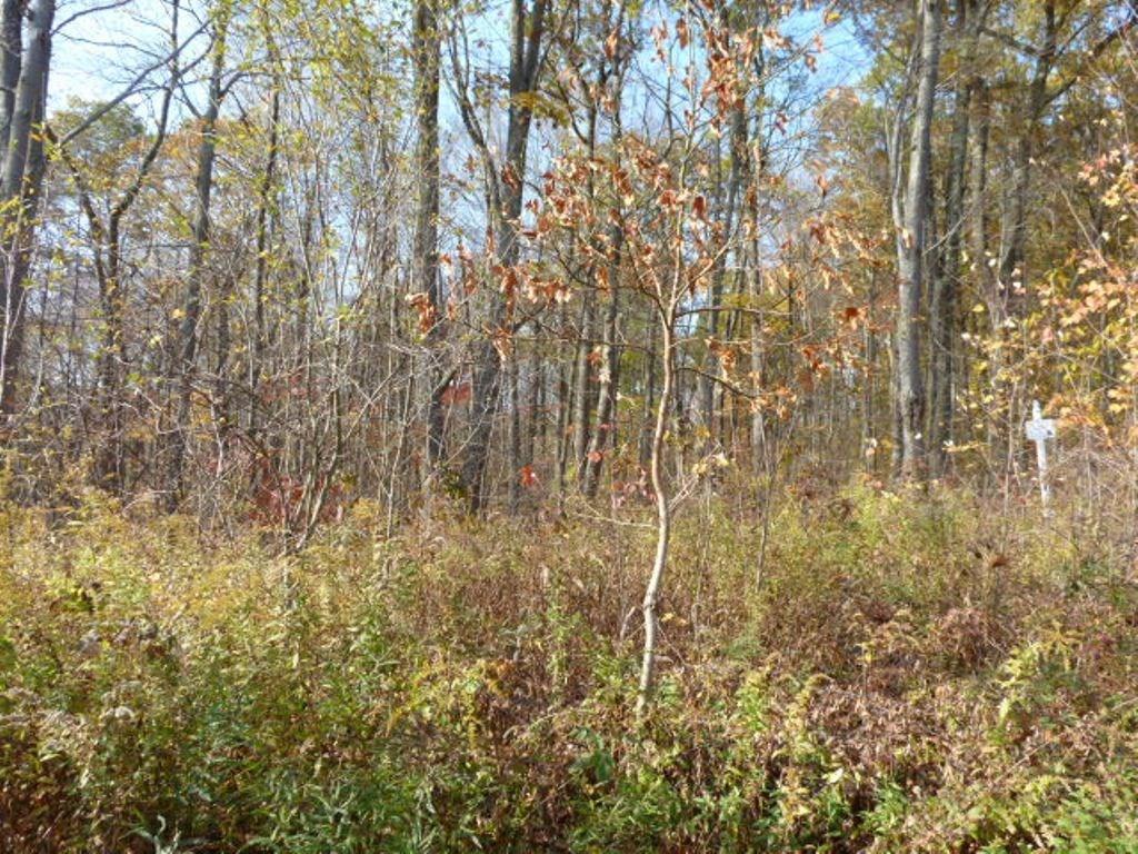 LOT 4 Pembroke Hill Road - Photo 1