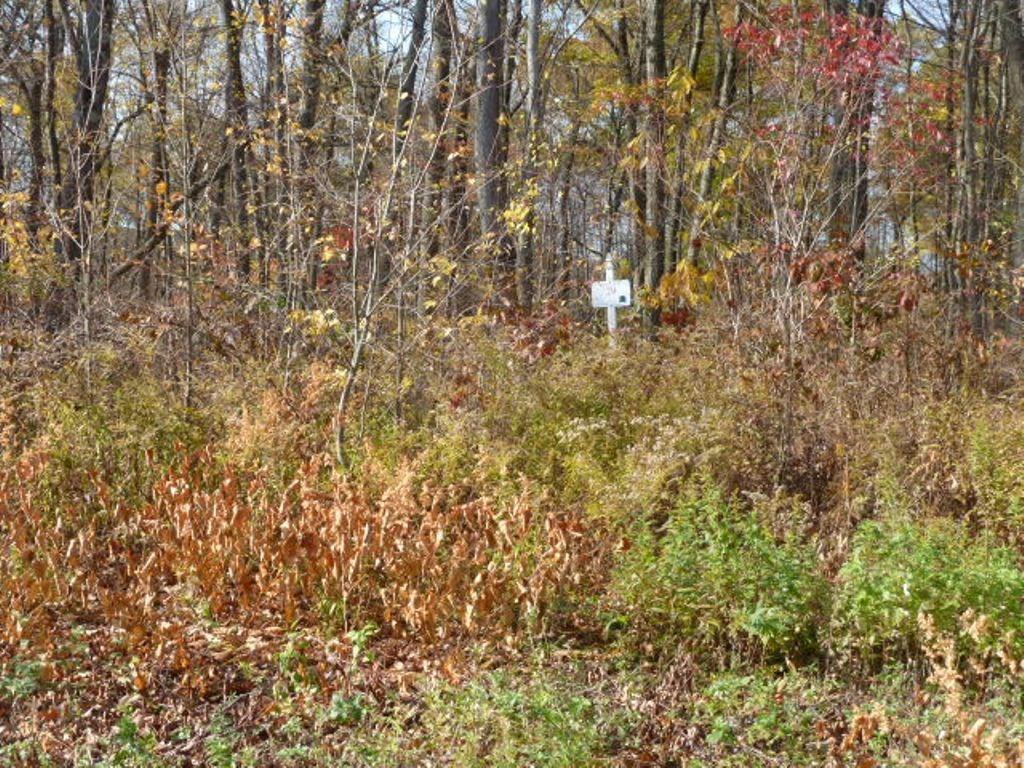 Lot 29 Pembroke Hill Road - Photo 1