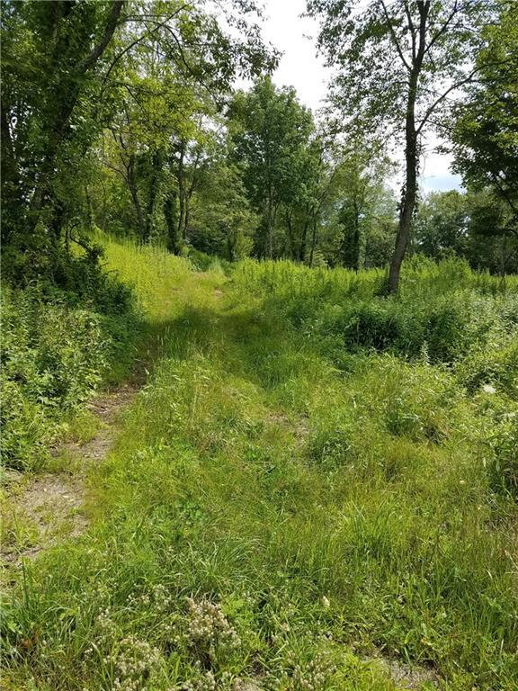 00 Crane Hollow Road - Photo 1