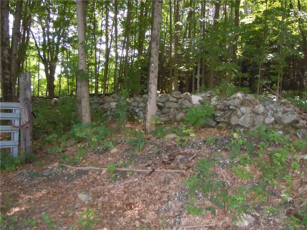 00 Hill Rd. Hayden Rd. Whetstone Rd. Road - Photo 1