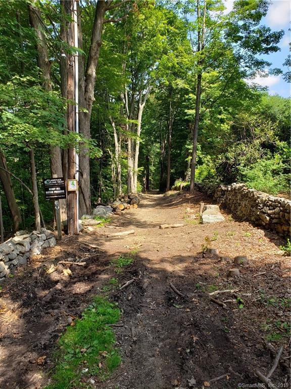 Lot A Honey Hill Road - Photo 1