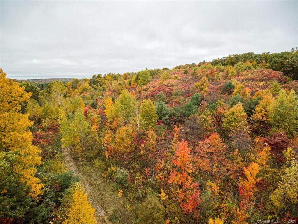 33 Moose Horn Mountain - Photo 1