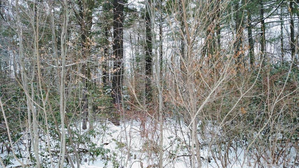 0 Bohun (Map 46 Lot 11) Road - Photo 1