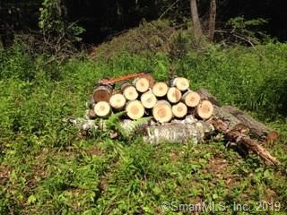 11 Fox Fire Hill Road - Photo 1