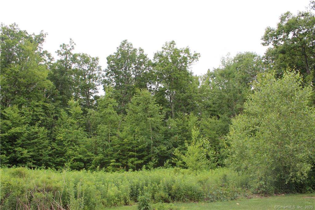 33 Cider Mill Heights - Photo 1