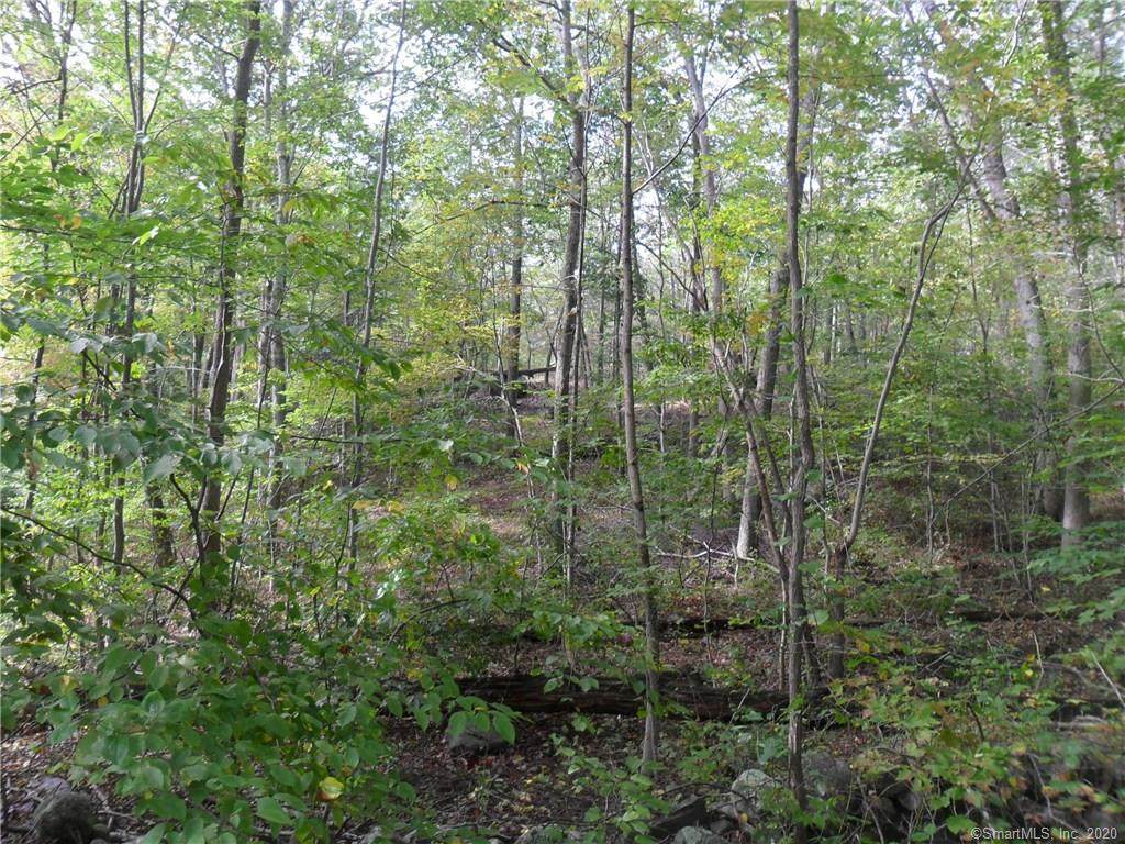 123 Ironworks Road - Photo 1