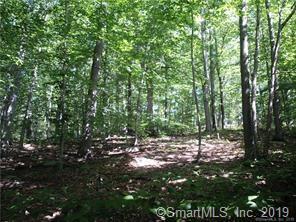Lot 9 Old Farm Road - Photo 1