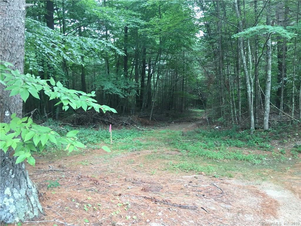 6 Pine Valley Drive - Photo 1