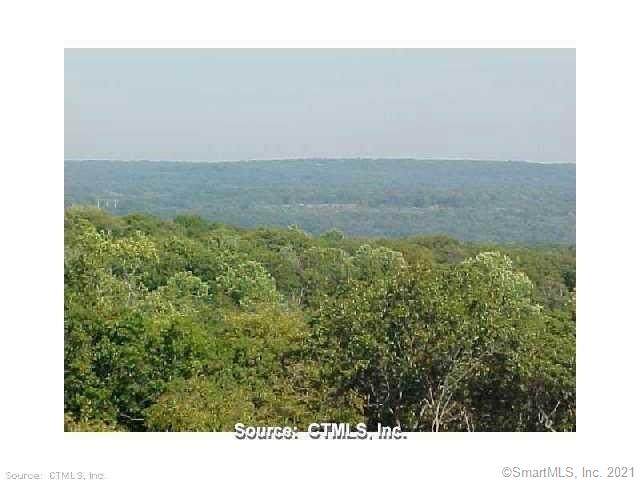 451 Plains Road - Photo 1