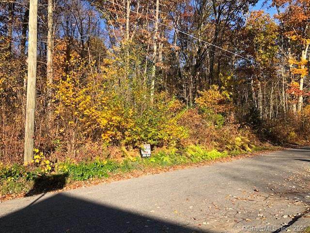 22 Old Birch Road - Photo 1