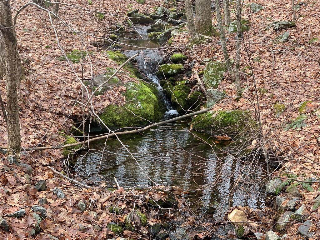 26 Stonewall Lane - Photo 1