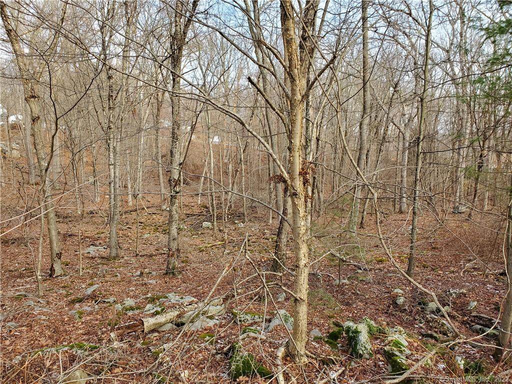 153 Old Post Road - Photo 1