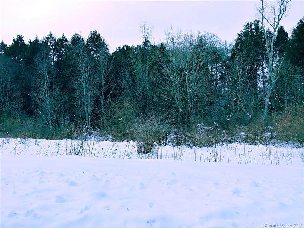 00 Barberry Hills Road - Photo 1