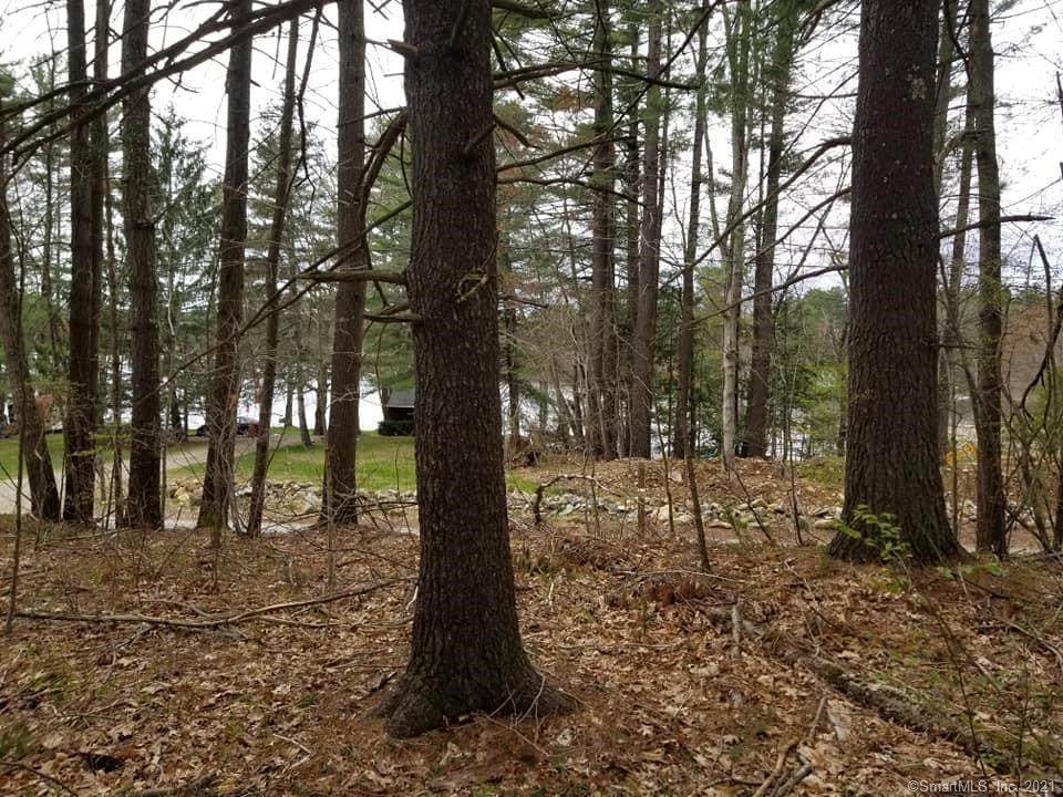 000 Laurel Hill Dr - Photo 1