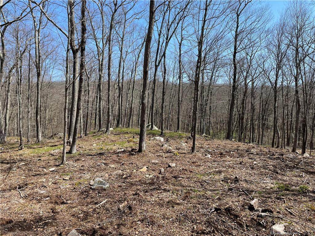 4 Westwoods Road 2 Road - Photo 1