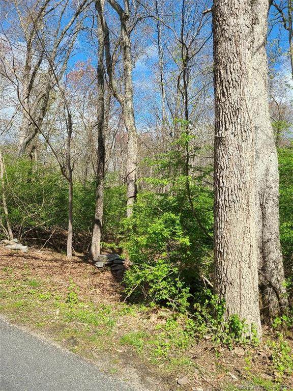 101 B Town Woods Road - Photo 1