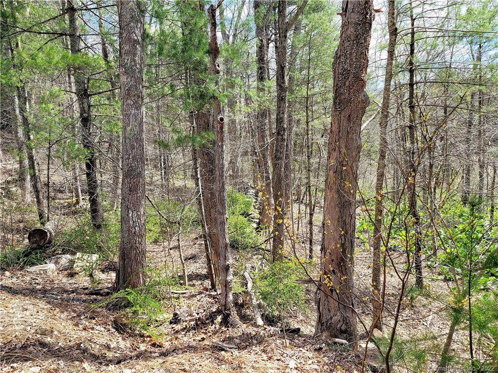 Lot#5/ Turnpike Road - Photo 1