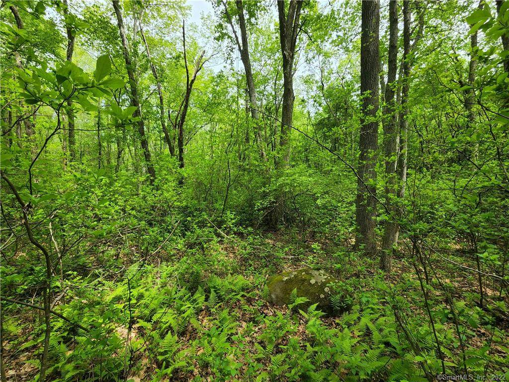24 Old Schoolhouse Road - Photo 1