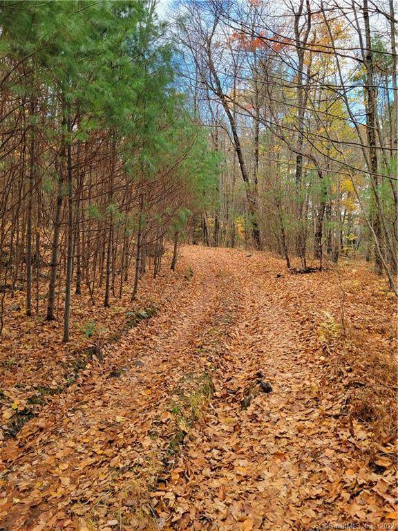 319 Mountain Road - Photo 1