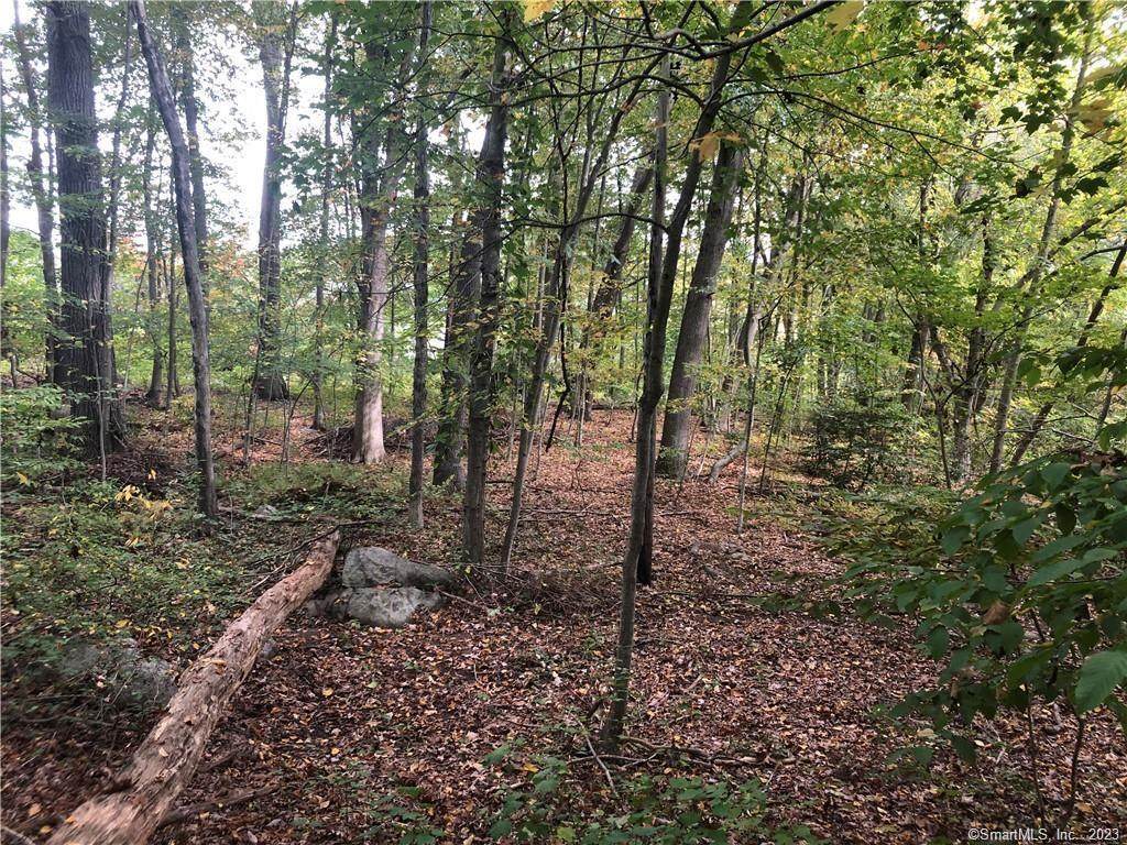 983 Boston Post Road - Photo 1