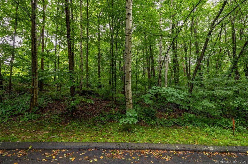 1 Michael Drive - Photo 1