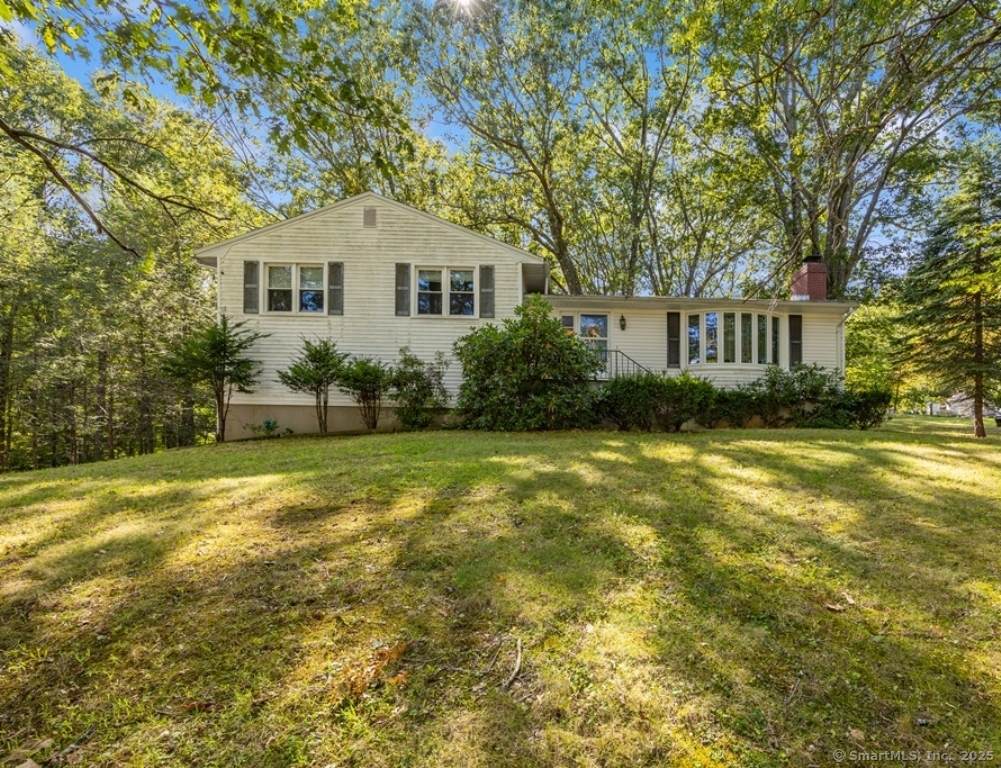 59 Forest Lane - Photo 1