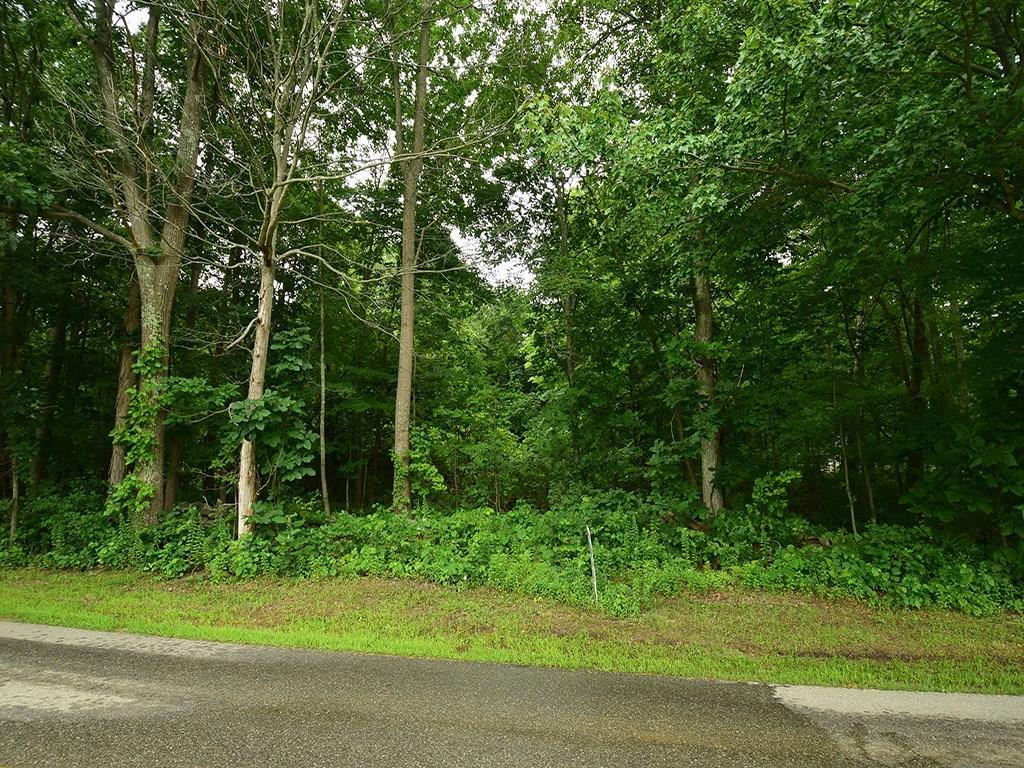 317 Goose Lane - Photo 1