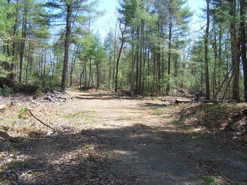 0 Lot # 6 Eastford Road - Photo 1
