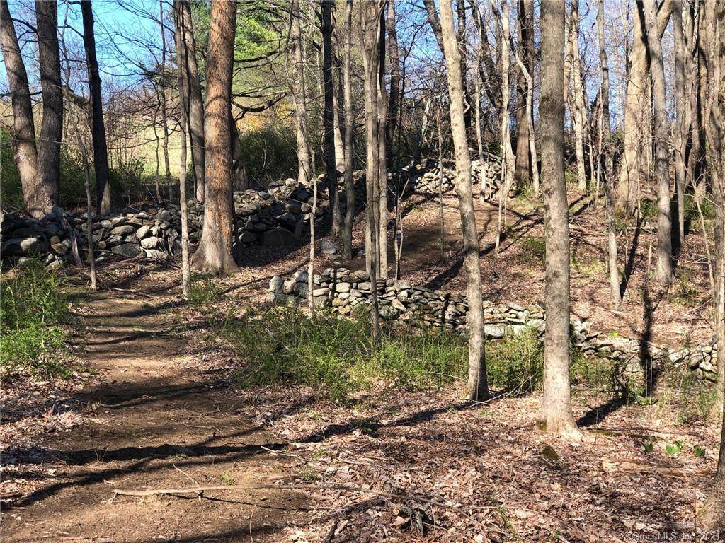 00 Barberry Hills Road - Photo 1