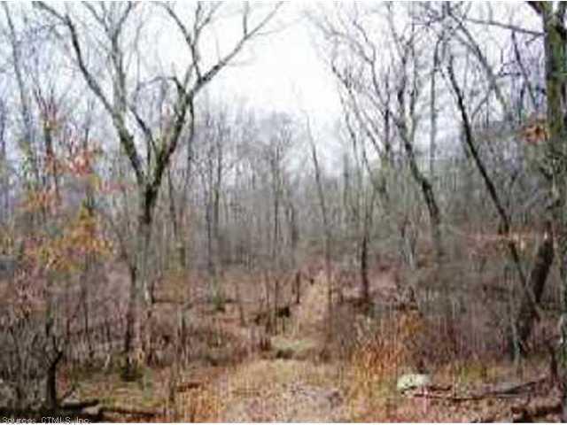 481 Stone Hill Road - Photo 1
