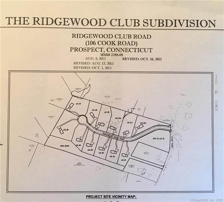 Lot 10 Ridgewood Club Road - Photo 1