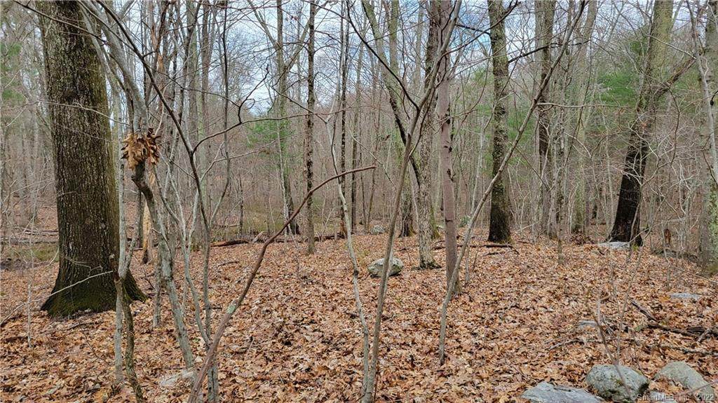 220 Preston Allen Road - Photo 1