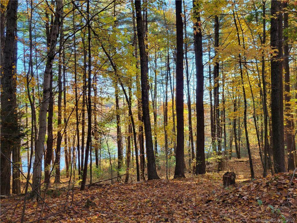 327 Mountain Road - Photo 1