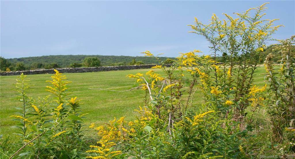 452 Plain Hill Road - Photo 1