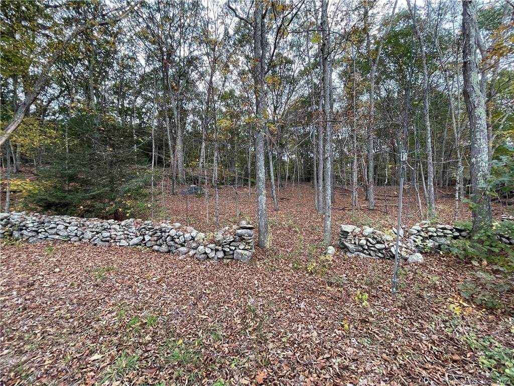 0 Wellers Bridge Road - Photo 1