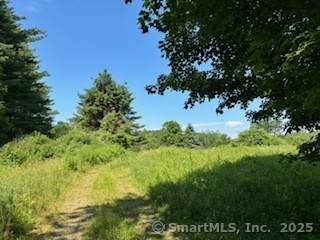 115 Mcbride Road - Photo 1