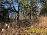 231.8 AC New Hope Rd - Photo 11
