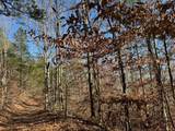 231.8 AC New Hope Rd - Photo 2
