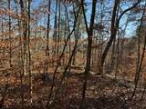 231.8 AC New Hope Rd - Photo 3