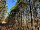 231.8 AC New Hope Rd - Photo 4