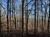 231.8 AC New Hope Rd - Photo 5