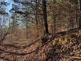231.8 AC New Hope Rd - Photo 9