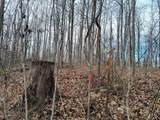 0 Upper Crab Rd - Photo 3